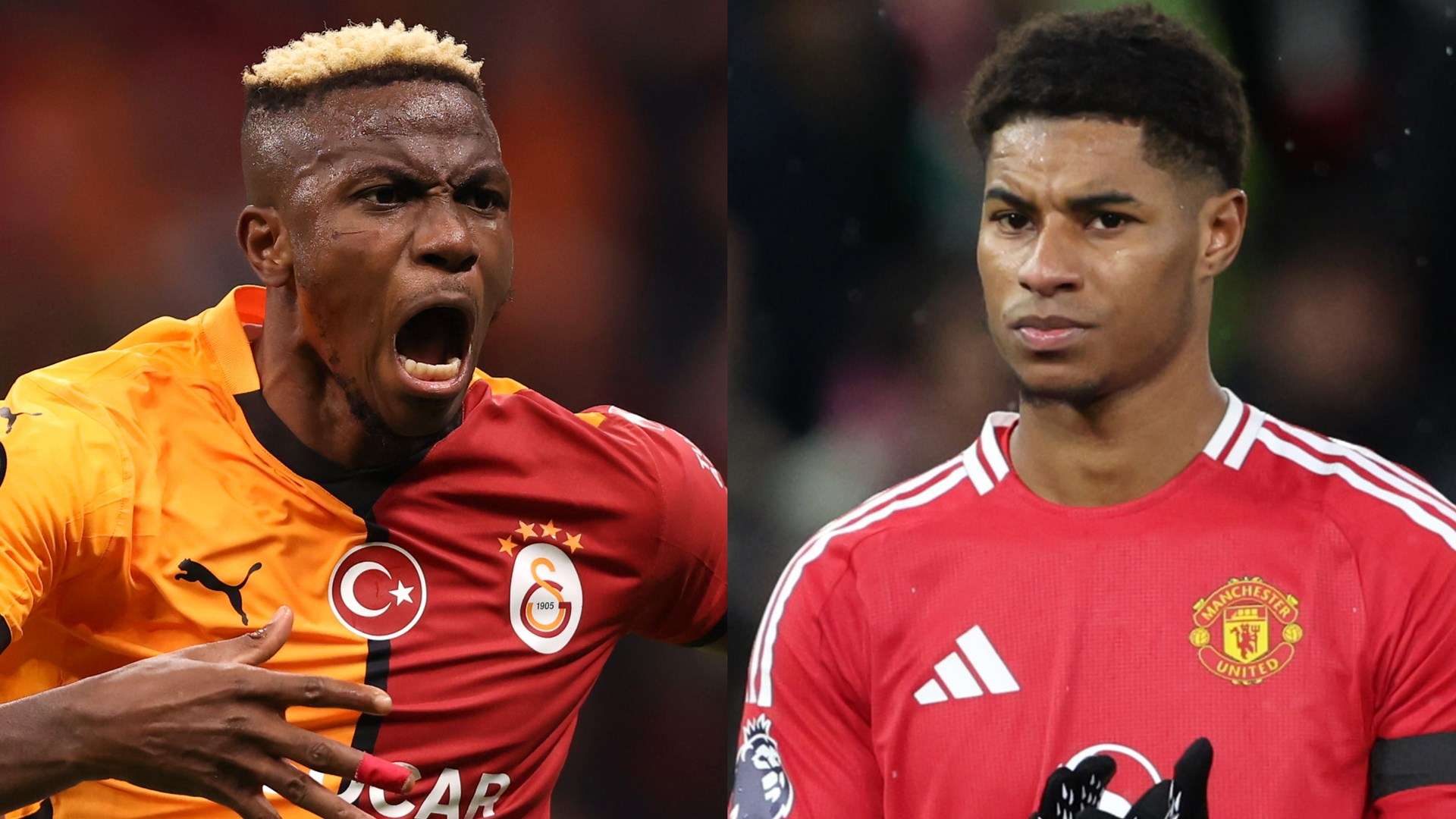 季运动员们 季运动员们