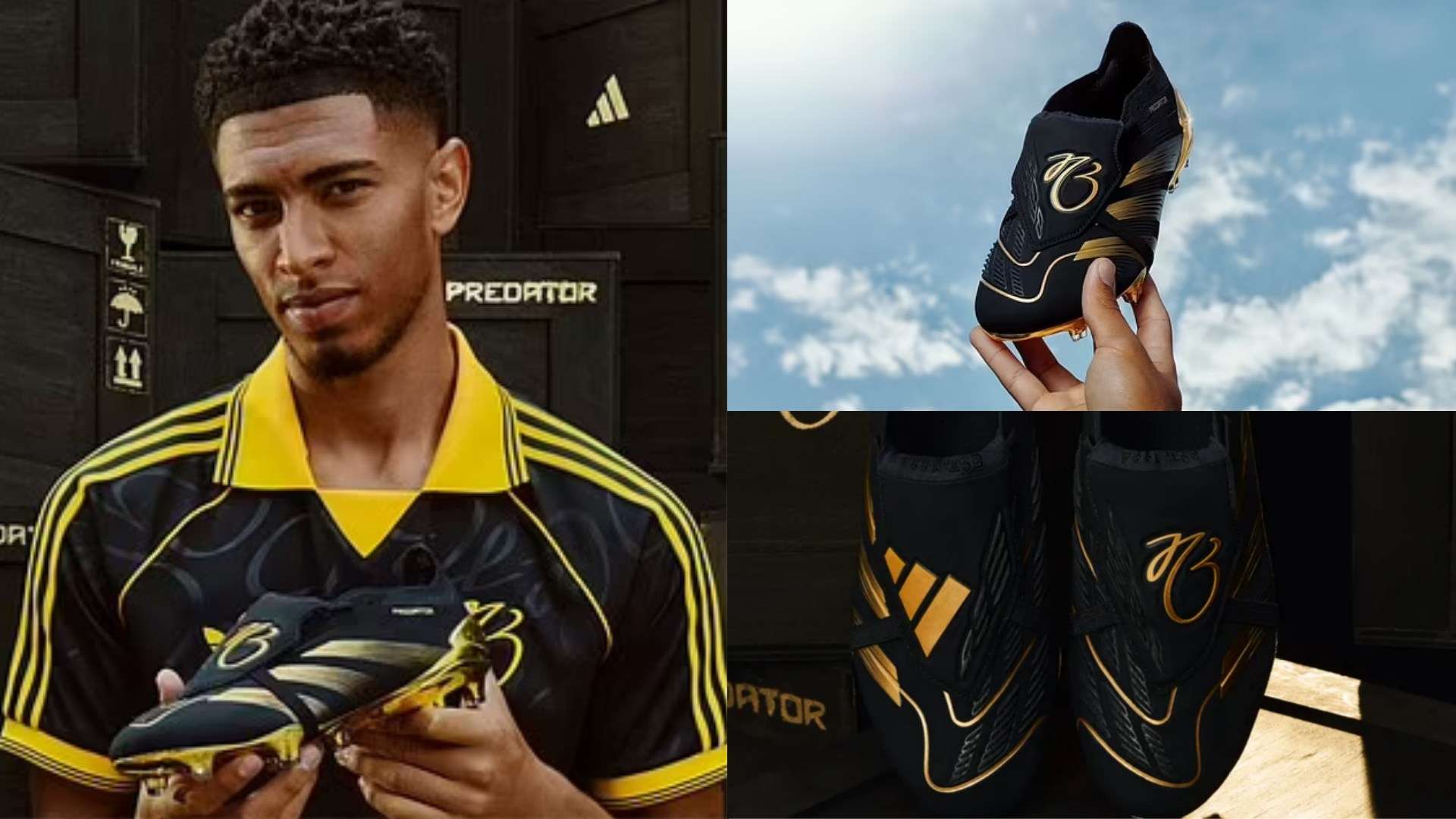 的精神领袖 的精神领袖